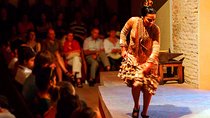 Flamenco Evening Show at Casa de la Memoria Ticket
