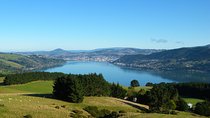 Otago Peninsula Scenery and Dunedin City Highlights Tour