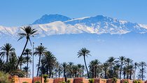 Marrakech Shore Excursion from Casablanca Port