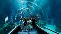 AquaRio Small Group Guided Tour with entrance and transfer