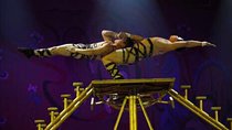 Beijing Red Theater Acrobatic Show with Private Transfer Service