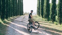Private E-bike Tour in Chianti from San Gimignano
