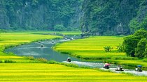 2-day Luxury Ninh Binh: Hoa Lu - Mua Cave - Tam Coc and Cuc Phuong National Park