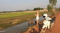 Siem reap city Chreav Eco tourism Rice field Sunset solo by Motor Bike