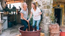Private Grape stomping at Chianti Farmhouse