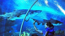 Aquaria KLCC Admission with Kuala Lumpur City Famous Landmarks
