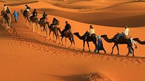 fes to marrakech 3 days desert tour