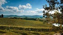 Private Montalcino and Pienza Tour from Florence