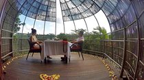 Birds Nest Romantic Dining in Ubud