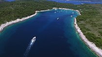 Private speedboat tour to Hvar & Pakleni islands from Split