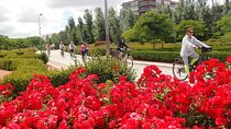 Madrid Parks & Riverside Bike Tour