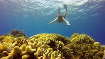 Combo 2 Caribbean Islands: Isla Mujeres, Cozumel with snorkel
