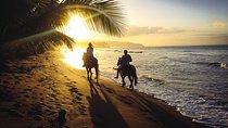 Private Sunset Horseback Riding in punta cana beach