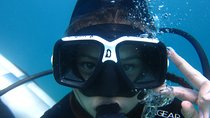 Scuba Diver Course (PADI)