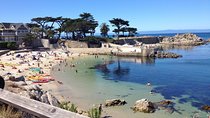 10 Hour Monterey & Carmel Private Tour in a Luxury Vehicle