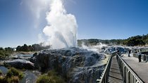 Private Full-Day Rotorua Tour from Auckland