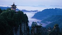 Private Day Tour Of Zhangjiajie National Forest Park With Lunch