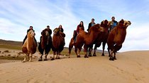 7 Days Classic Mongolian Tour