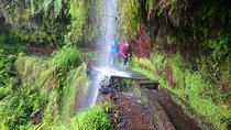 Hike in Laurisilva Levada do Rei - Madre of Life small Group guided walk