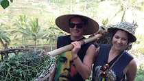Full-Day Ubud Village including Mt Batur Tirta Empul and Sightseeing Tour