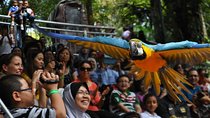 Kuala Lumpur Bird Park Admission with Famous Shopping Spots Tour