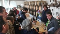 Wine Tasting and food Experiences region of Lisbon - Setúbal