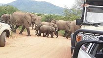 One day Kruger National Park tour Private 