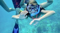 Private Looe Key Snorkel from Big Pine Key