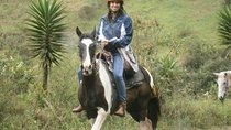 Tours En Caballo | Horseback | Por 2 Horas | Baños - Ecuador