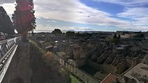 Private Day Tour: Herculaneum and Wine Tasting