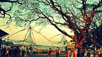 Cochin City or Backwater Shore Excursions from Cruise Terminal