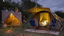 Tented Kruger Park Safari 3-day from Johannesburg or Pretoria R 7000