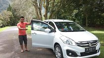 Private Full Day Bali Car Charter With Driver