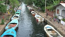 Shore Excursions Colombo Port Passenger Jetty to Negombo By Car 