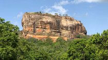 Day Excursion to Historical Sigiriya Rock and Minneriya National park Safari 
