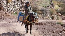 Day tour in high Atlas mountains