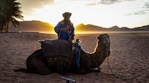 Zagora Desert: 2-Day Trip from Marrakesh
