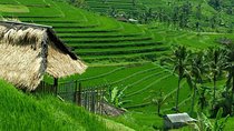 Private Jatiluwih Rice Terraces Heritage Site and Culture Tour