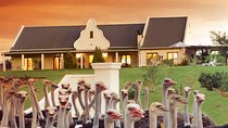 4 Day Garden Route Meander Safari Tour with Private Transfers