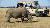 Day trip to Ol Pejeta conservancy from Nairobi