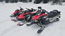Carpathian mountains Snowmobile, ATV or Buggy tour in one day