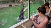 Hartley's Crocodile Adventures Day Trip from Cairns