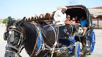 Aswan City tour on Horse Carriage 