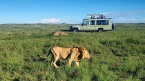 1-Day Tour To Akagera National Park For A Wildlife Safari