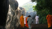 6-Day Sri Lanka Heritage Private Tour