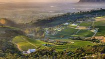 Full day Cape Point + Constantia Wine Tour with Private Transfer