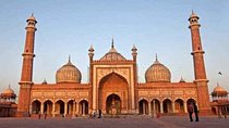 Experience Delhi Full day Sightseeing with Transports & Tour Guide