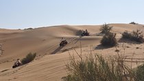 Dubai Desert Afternoon Quad Safari with Camel Ride, BBQ Dinner and Belly Dancing