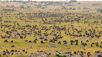2-Day Maasai Mara Safari 