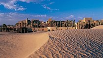 Evening Desert Safari With Bab Al Shams Dinner